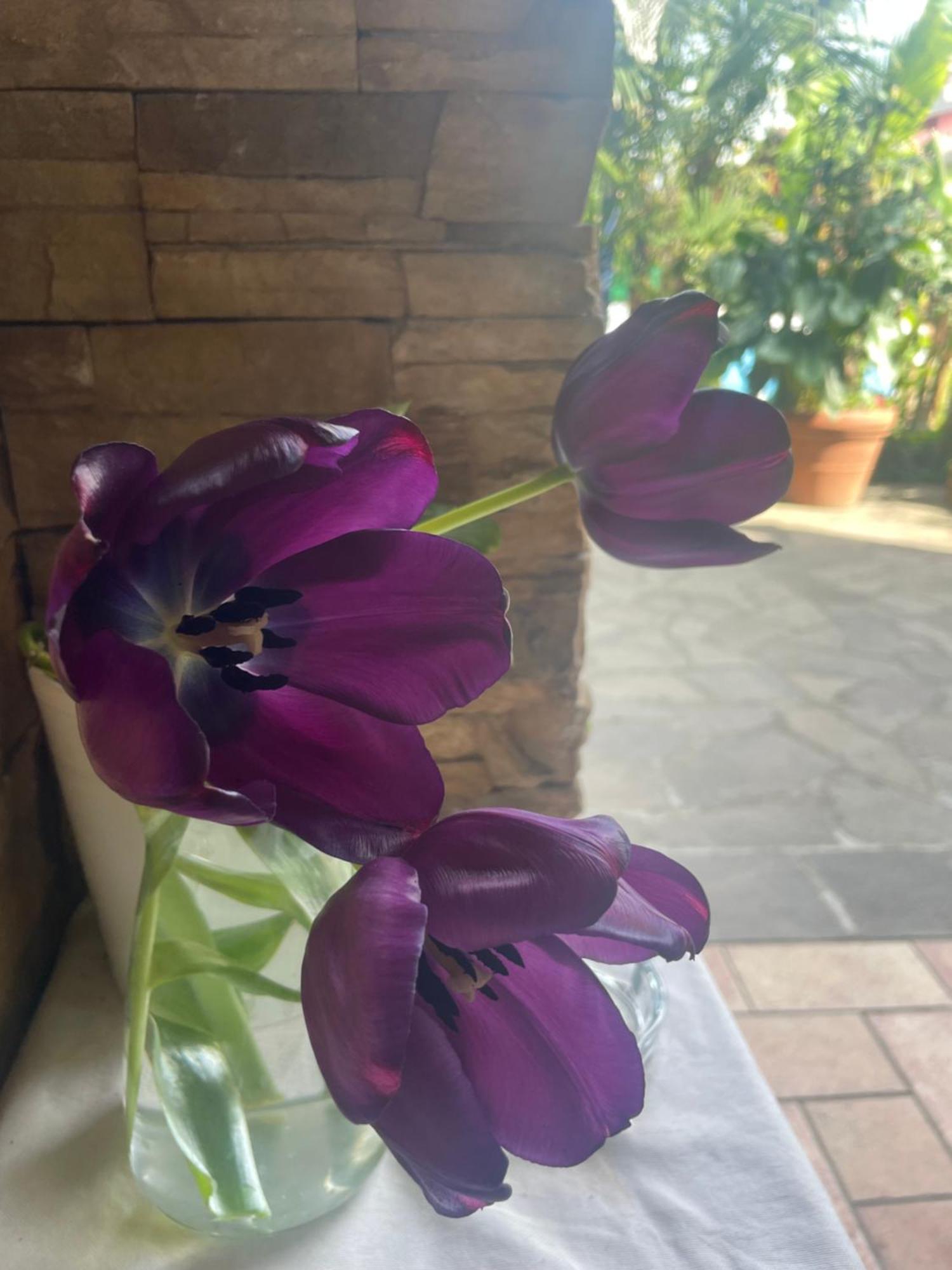 Il Giardino Di Emilia - Intero Appartamento In Villa Con Giardino Privato E Piscina Estiva Pontirolo Nuovo Kültér fotó