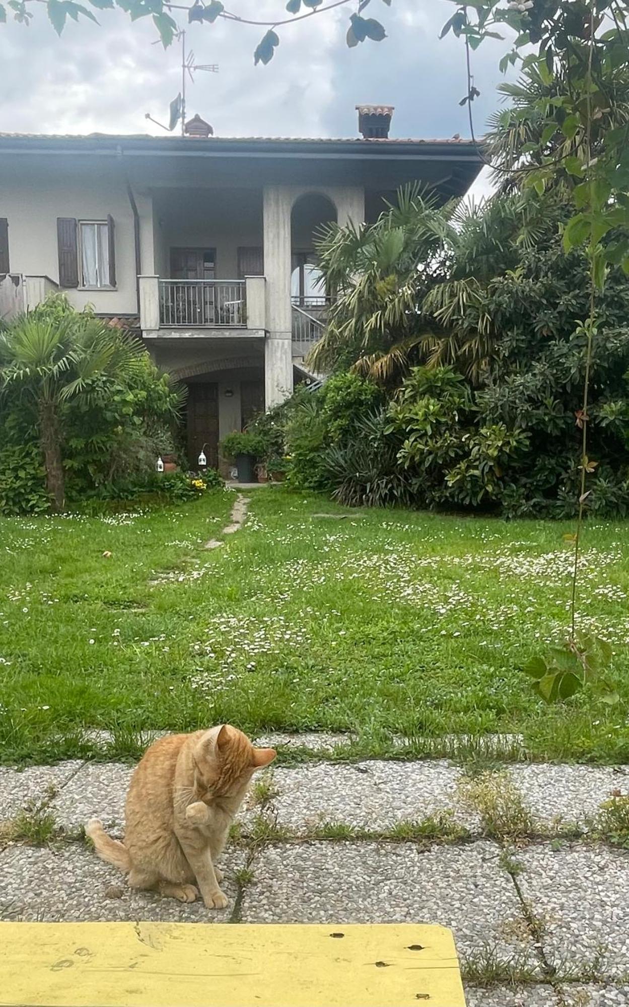 Il Giardino Di Emilia - Intero Appartamento In Villa Con Giardino Privato E Piscina Estiva Pontirolo Nuovo Kültér fotó